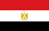 エジプトのTGM国内パネル