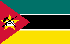 モザンビークのTGM国内パネル