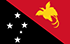 パプアニューギニアで現金を稼ぐTGMパネル-調査