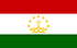 タジキスタンで現金を稼ぐTGMパネル-調査