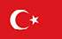トルコでお金を稼ぐTGM調査